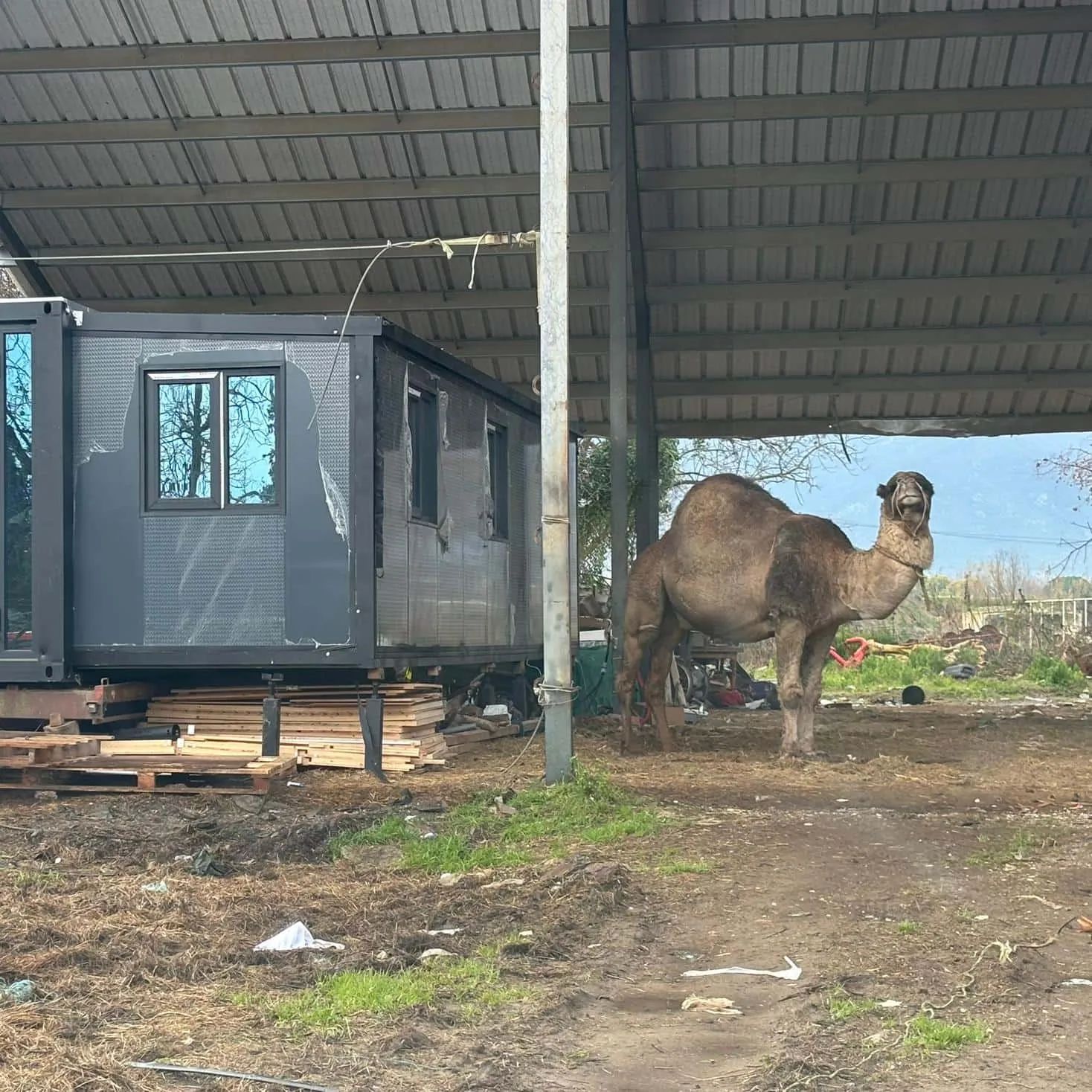 A rural French self-build where the kitchen set the plan — site photo 1